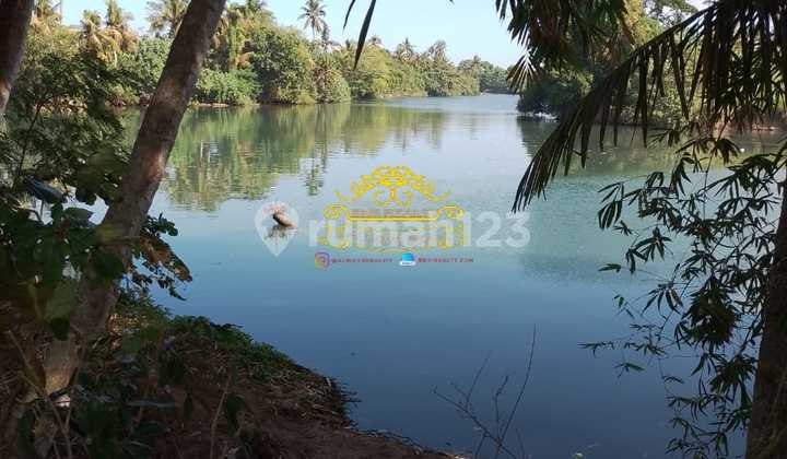 Land For Sale Tibubiu Location