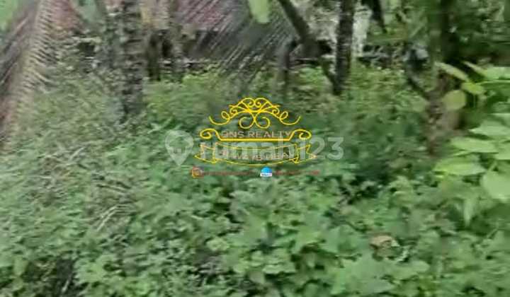 Tanah Jual Lokasi Pejeng