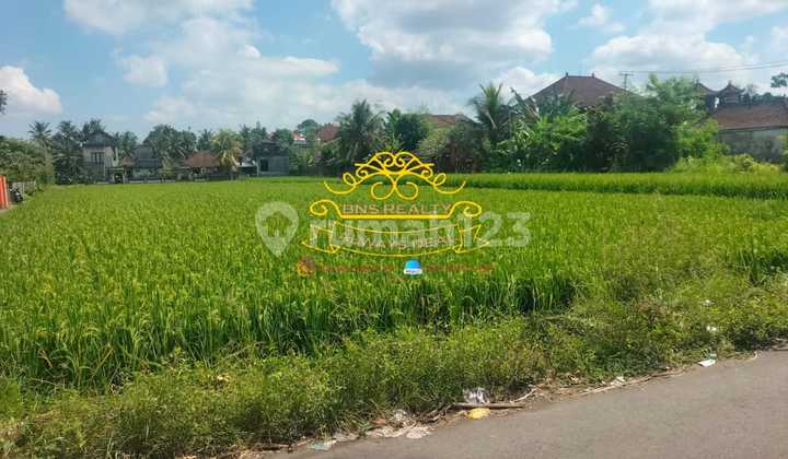 Land for Sale Location Peliatan