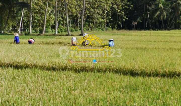 Villa Jual Lokasi Kedungu