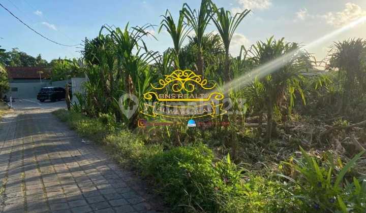 Tanah Jual Lokasi Tiying Tutul