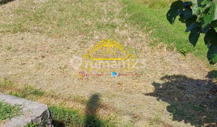 Land For Sale in Kedungu Location Land For Sale in Kedungu Location