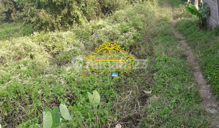 Land for Sale Location Umalas Land for Sale Location Umalas