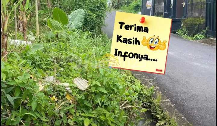 Tanah Jual Lokasi Tumbak Bayuh