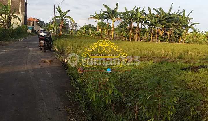 Tanah Jual Lokasi Padang Galak Tanah Jual Lokasi Padang Galak
