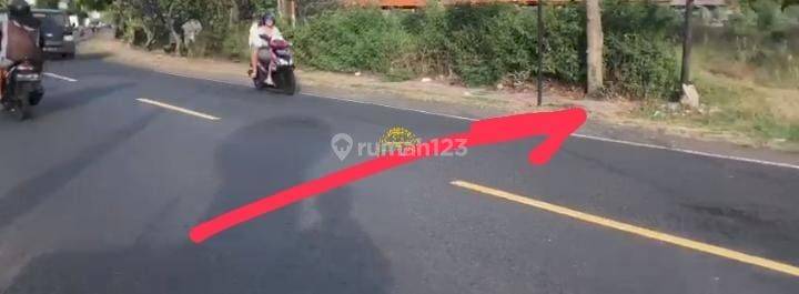 Tanah Jual Lokasi Kaliasem 2