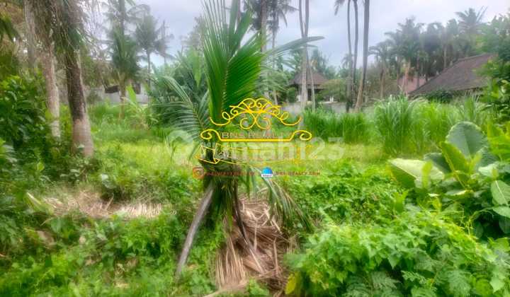 Tanah Jual Lokasi Saba