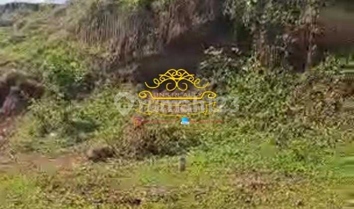 Tanah Jual Lokasi Ungasan