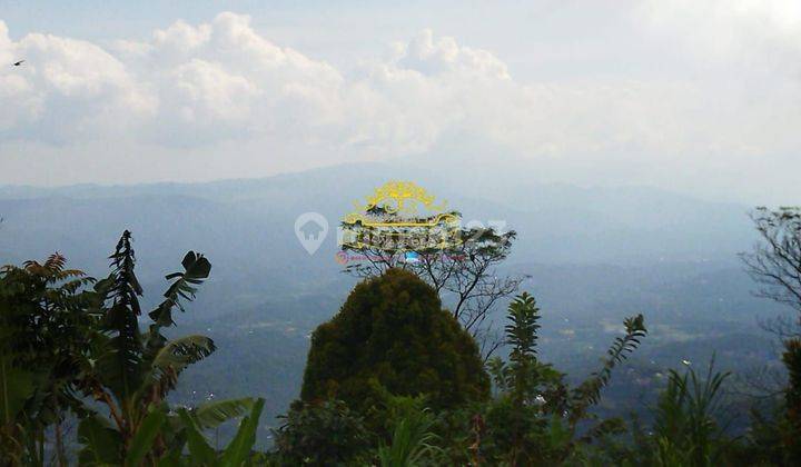 Tanah Jual Lokasi Munduk 1