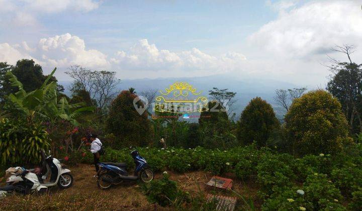 Tanah Jual Lokasi Munduk 2