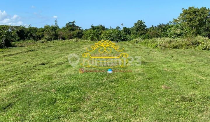 Tanah Jual Lokasi Siyut Tanah Jual Lokasi Siyut