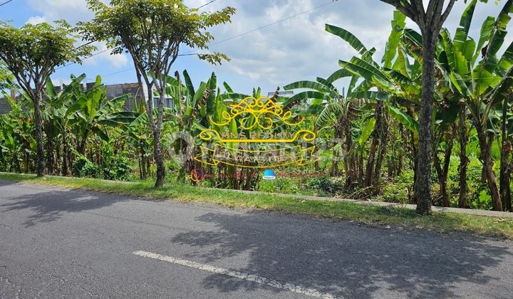 Tanah Jual Lokasi Tunbak Bayuh