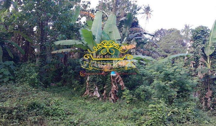 Tanah Jual Lokasi Nyanyi 2