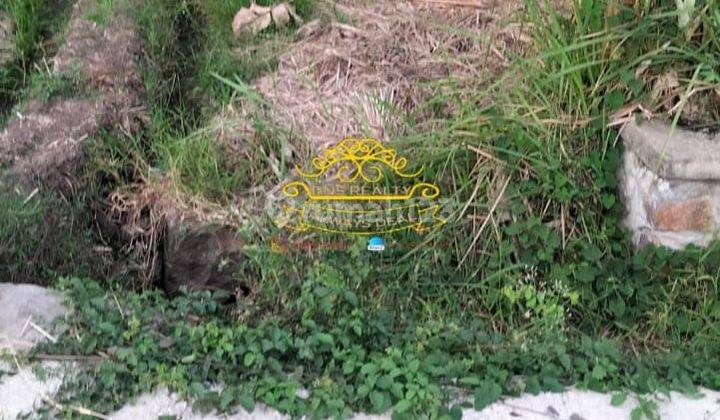 Tanah Jual Lokasi Beraban 2