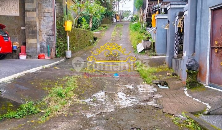 Tanah Jual Lokasi Tegallalang Tanah Jual Lokasi Tegallalang