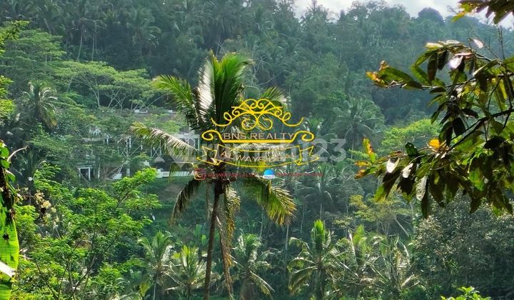 Tanah Jual Lokasi Tegallalang Tanah Jual Lokasi Tegallalang