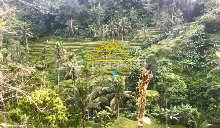 Land for Sale Location Sebatu