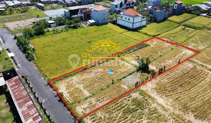 Tanah Jual Lokasi Sedap Malam Tanah Jual Lokasi Sedap Malam