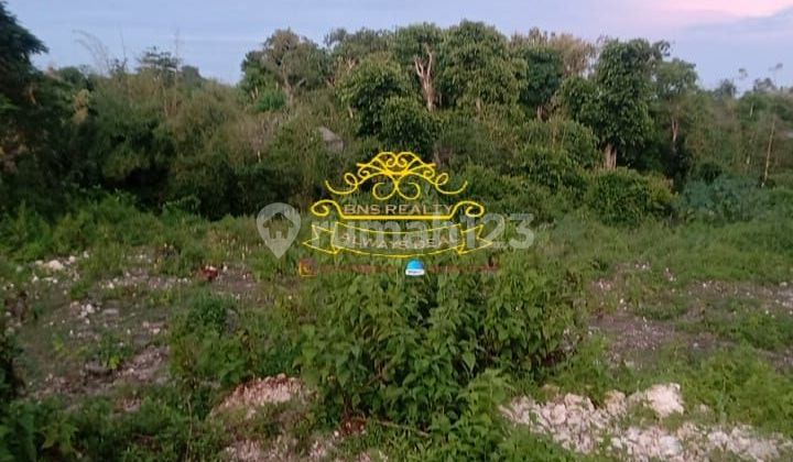 Tanah Jual Lokasi Ungasan