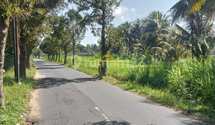 Tanah Jual Lokasi Petak