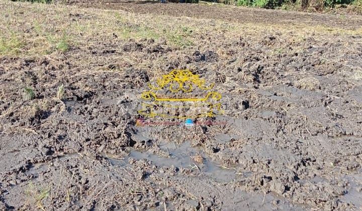 Land for Sale Location Seseh