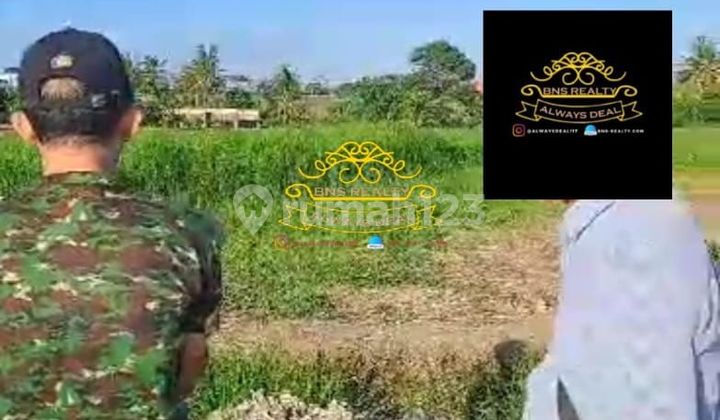 Land for Sale Location Munggu Land for Sale Location Munggu