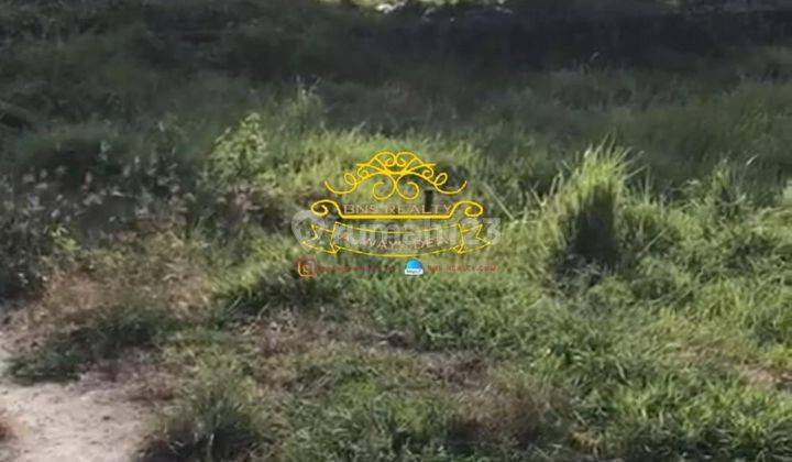 Tanah Jual Lokasi Kerobokan 2