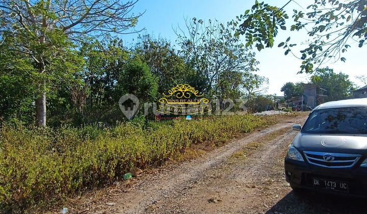 Tanah Jual Lokasi Pecatu Tanah Jual Lokasi Pecatu