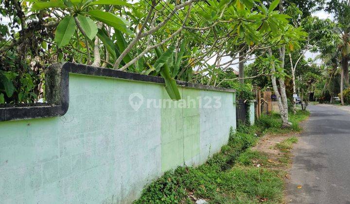 Land for Sale Location Ubud 2