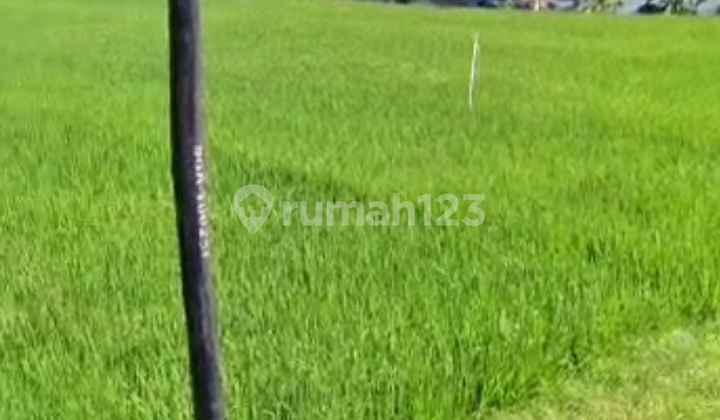 Land for Sale in Pemaron Location