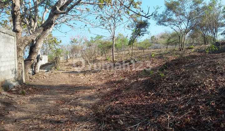 Land for Sale in Nusa Dua Location