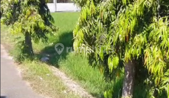 Land for Sale in Pemaron Location