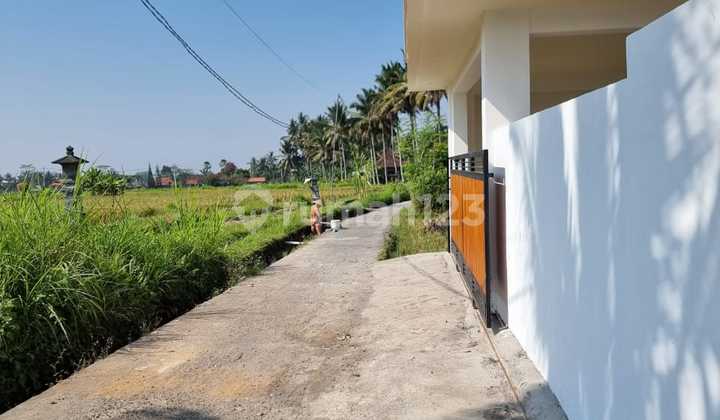 Villa for Sale in Pejeng