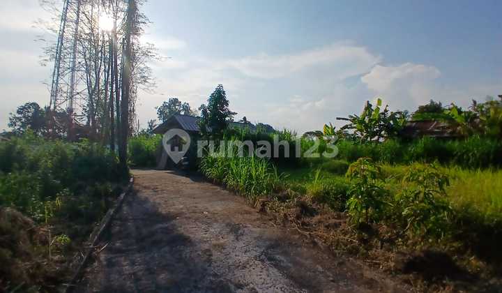 Land for Sale in Batuan Location