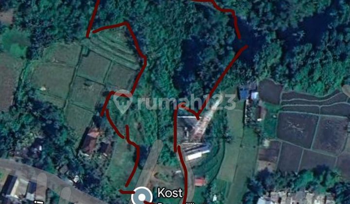 Land for Sale in Batuan Location