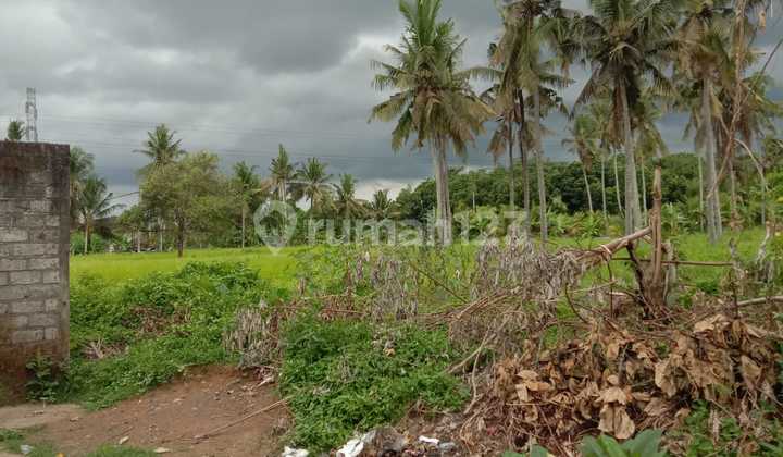 Land for Sale, Lodtunduh Location Land for Sale, Lodtunduh Location