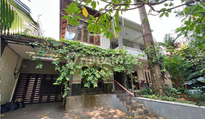 For Rent Modern Tropical House in Kebayoran Baru Area