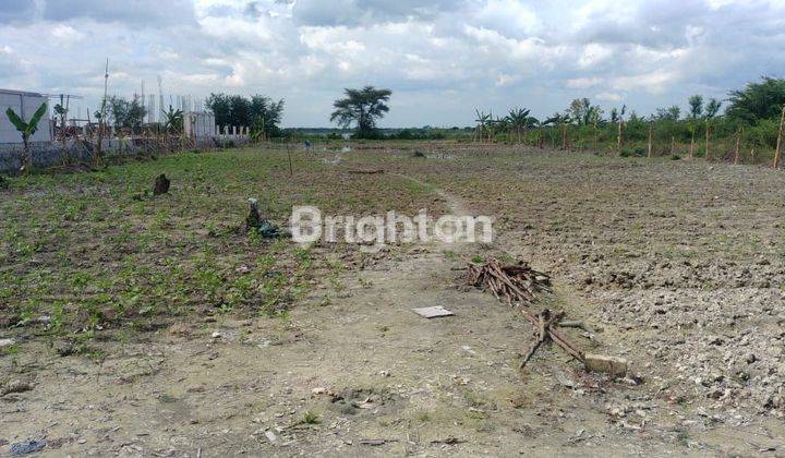 TANAH DI KEBALANPELANG BABAT LAMONGAN COCOK UNTUK PABRIK, POM BENSIN, CAFE 1