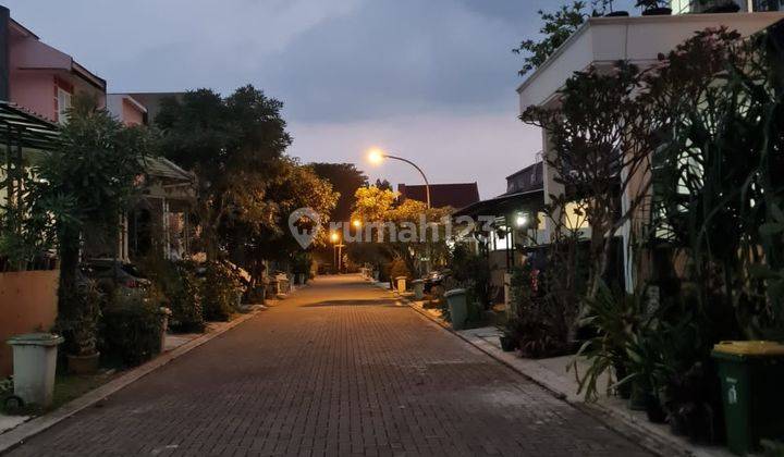 Disewakan Rumah Pakuan Hill Bogor Cluster Latania fasilitas free pool  3