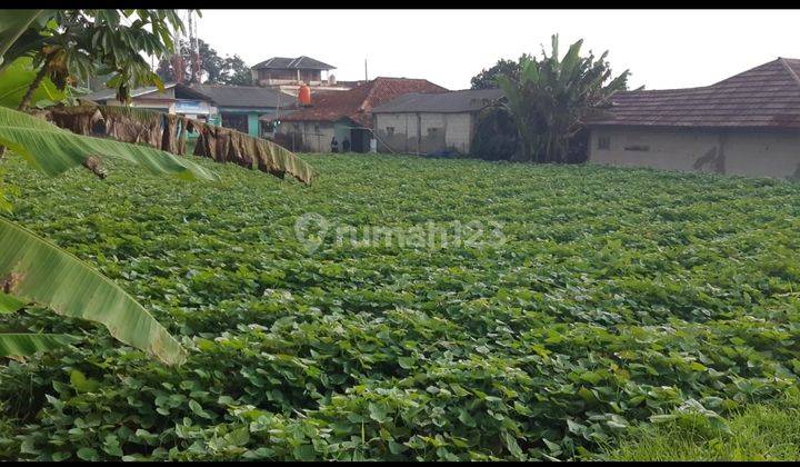 Disewakan Tanah Pinggir Jalan Desa Petir Dramaga Bogor 2