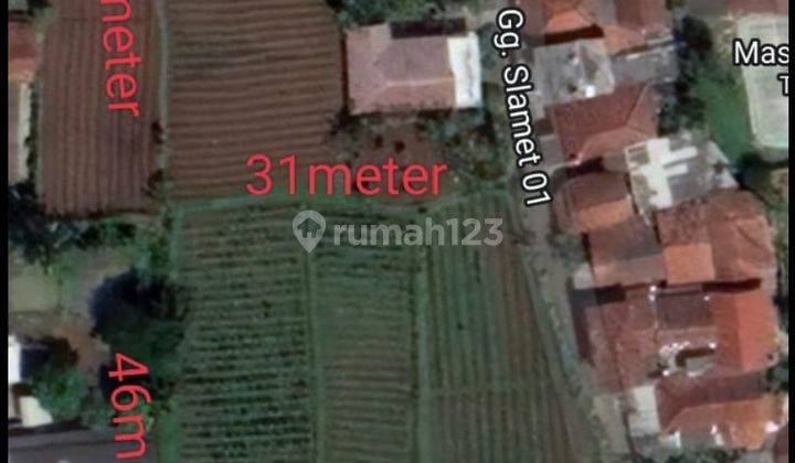 Disewakan tanah pinggir jalan desa petir dramaga Bogor 3