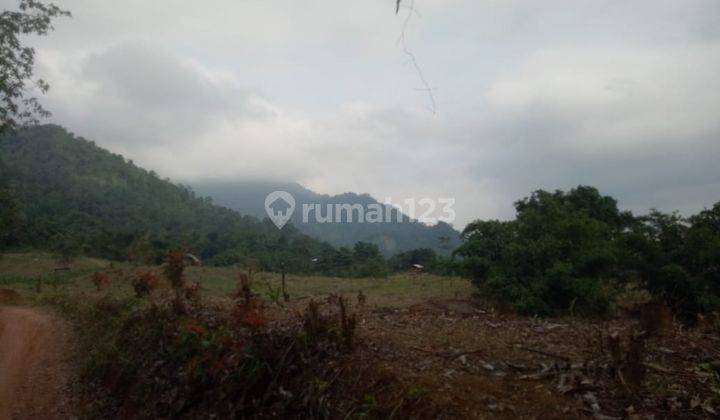 Dijual tanah murah di Cariu Jonggol Bogor sudah ada beberapa komplek disekitar 2