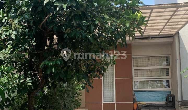 Dijual Rumah Cluster Pakuan Hill Tajur Bogor Dijual Rumah Cluster Pakuan Hill Tajur Bogor