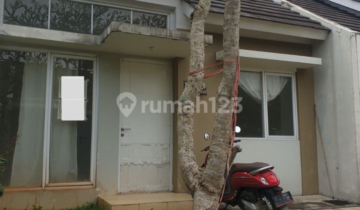 For Sale Ready-to-Occupy House in Serpong Lagoon BSD For Sale Ready-to-Occupy House in Serpong Lagoon BSD