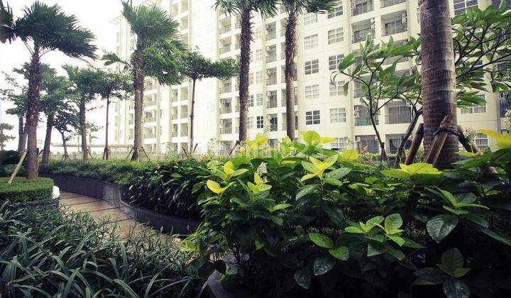 Dijual Apartemen Saveria BSD Lantai 2 View SPool 1