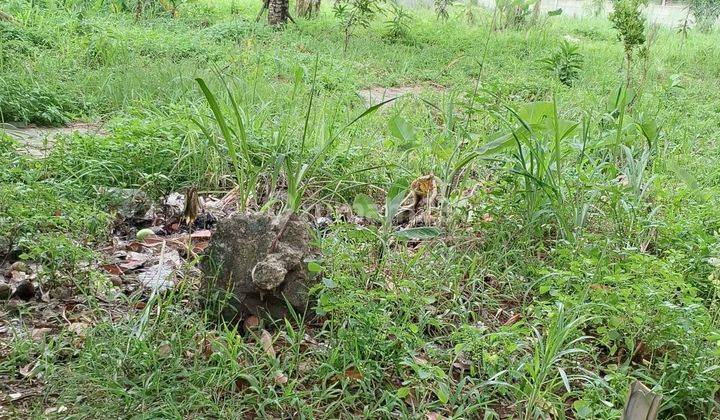 Kavling siap bangun gudang,kantor,mini cluster Bebas Banjir depam Kantor Walikota Tangsel 1