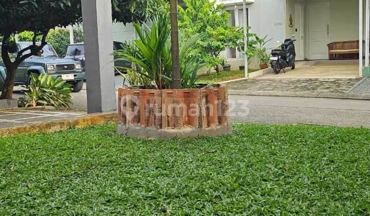 Beautiful House Ready to Occupy in Chrysant Garden Bsd -Nrl 2