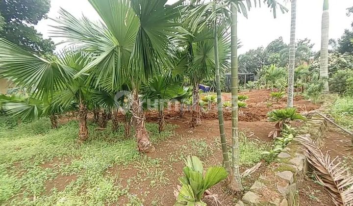 For Sale Tanah Premium Lokasi Bojongsari Depok  5