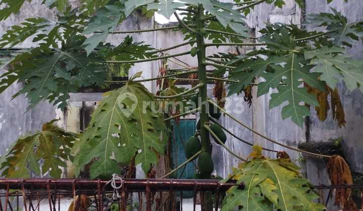 Di Jual Cepat Tanah Dengan Pondasi Siap Bangun Dalam Komplek Besar  2
