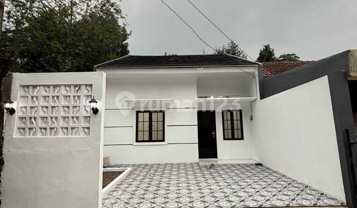 Rumah Siap Huni Free Biaya2 Dekat Pemda Cibinong Dan Pakansari Rumah Siap Huni Free Biaya2 Dekat Pemda Cibinong Dan Pakansari